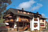 Hotel Waldfrieden Todtnau-Herrenschwand