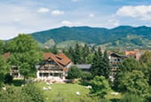 Waldhotel Gr�ner Baum Oberkirch-�dsbach